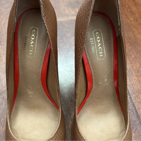 Coach Brown Snakeskin Textured Women's Pumps, Size 6 - Picture 12 of 16